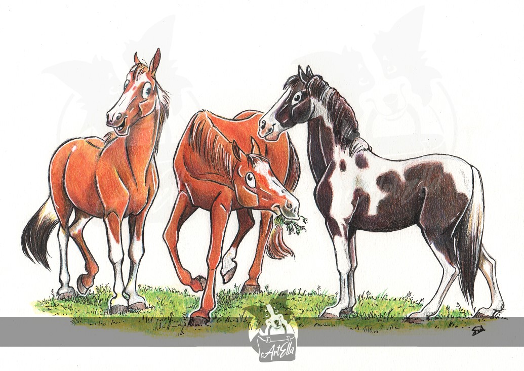 cArtElla Artist - Horse Illustrations and Cartoons